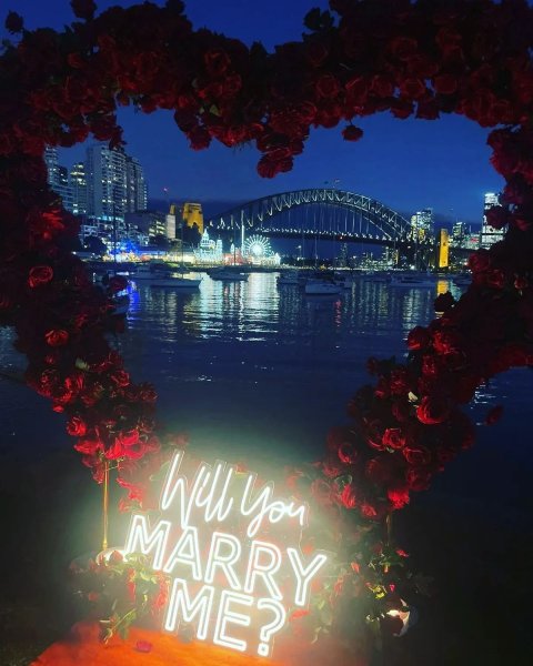Love Blooms Under the Harbor Bridge Lights